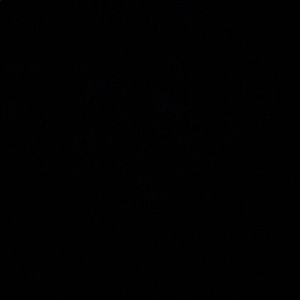 Meet your Posher, Jayne